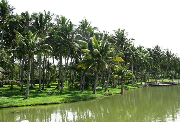 只有創(chuàng)新產(chǎn)品，才能占據(jù)市場主導(dǎo)地位